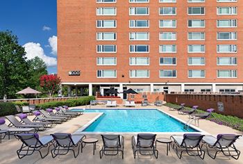 Resort-style pool with sundeck and wi-fi